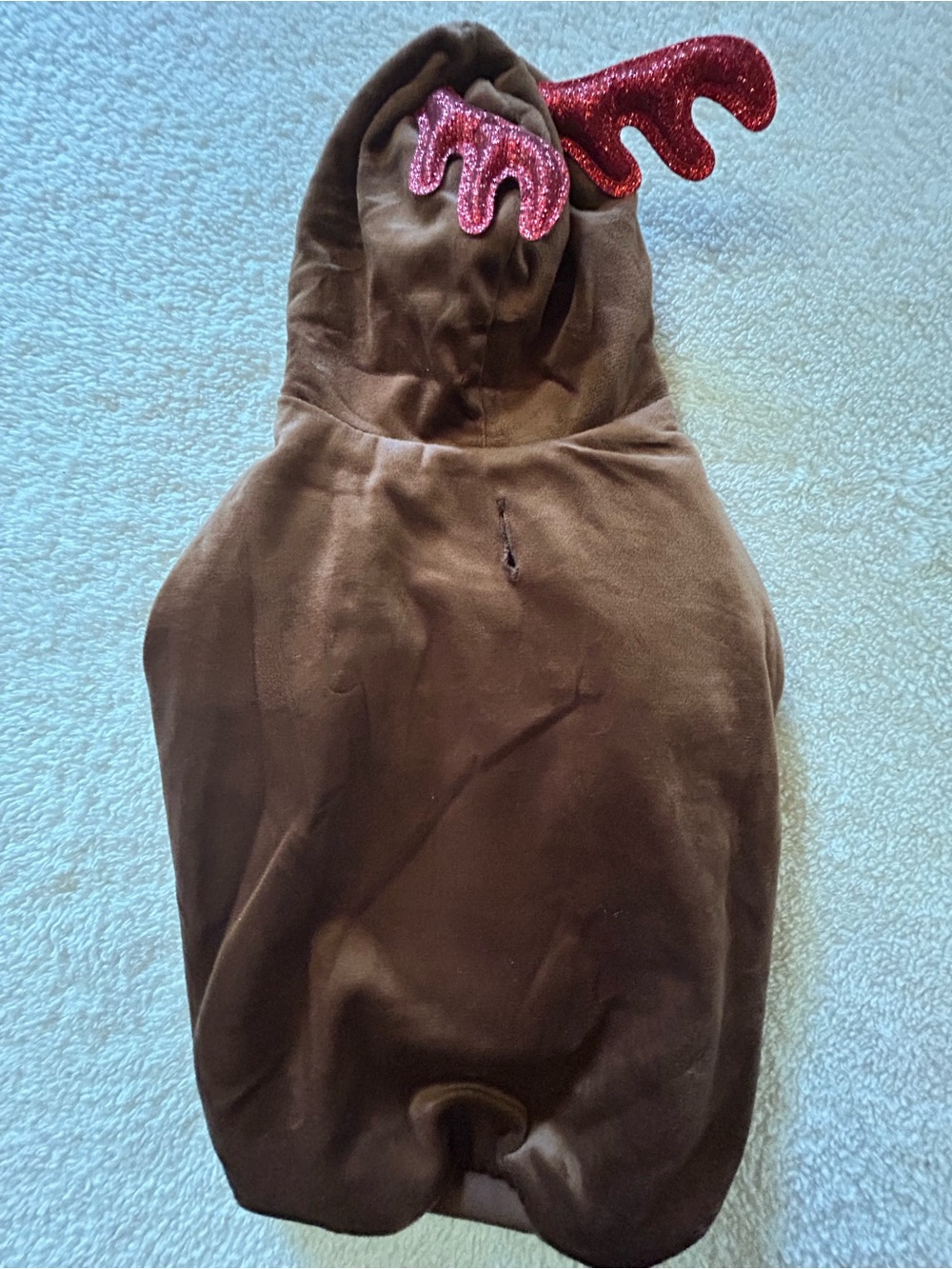 Small Raindeer Dog Hoodie